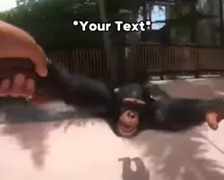 Happy Monkey Meme