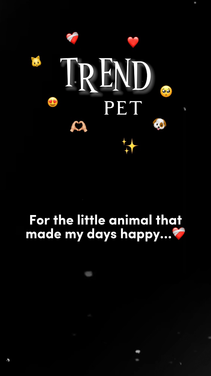Trend pet😍😍