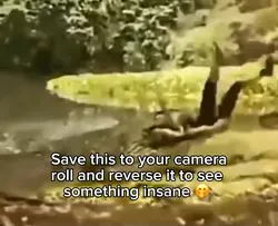 Crazy video 😳