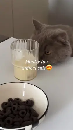 Animal cute 🥰😍