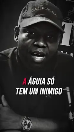 ÁGUIA SOBE O NÍVEL