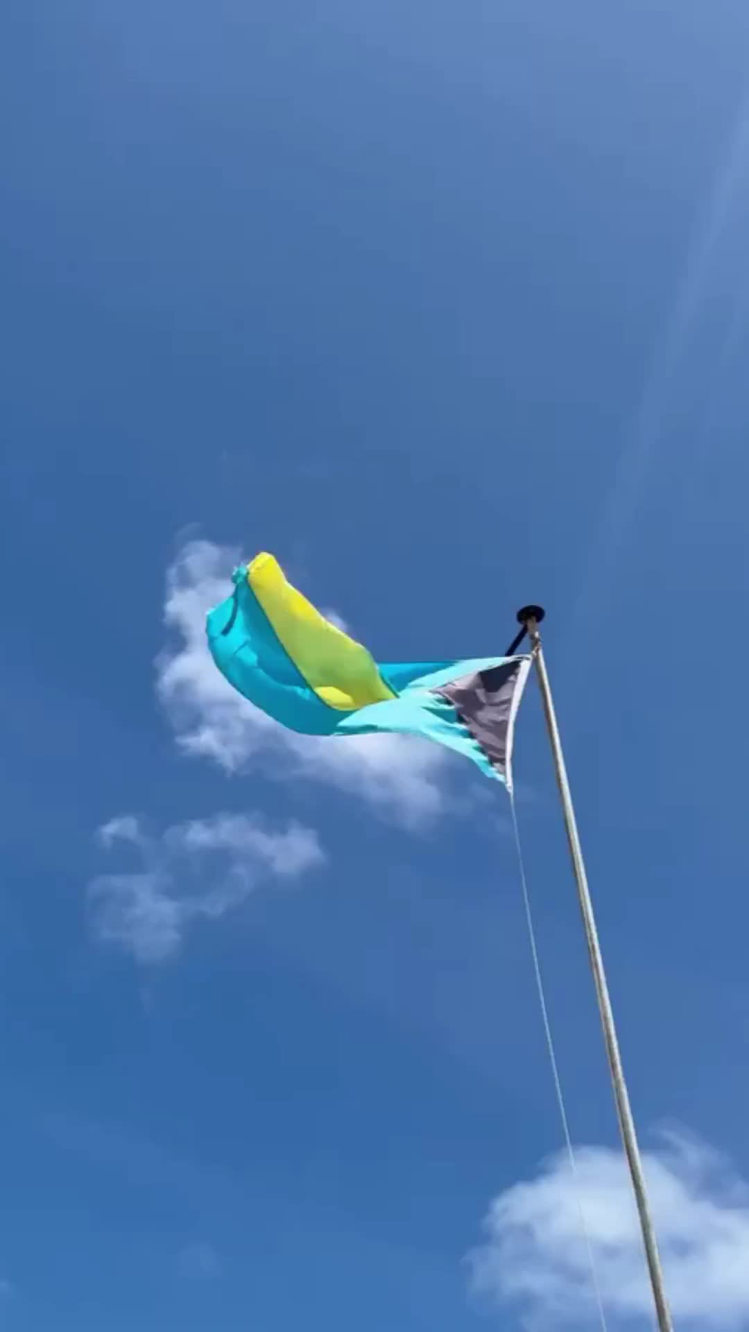 Transição de mão 