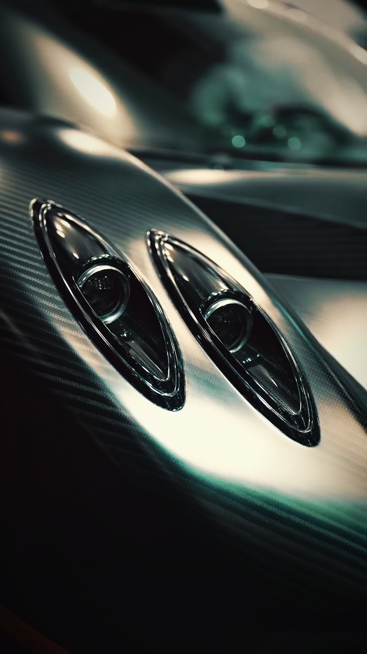 𝐀𝐅𝐄𝐄 🐍