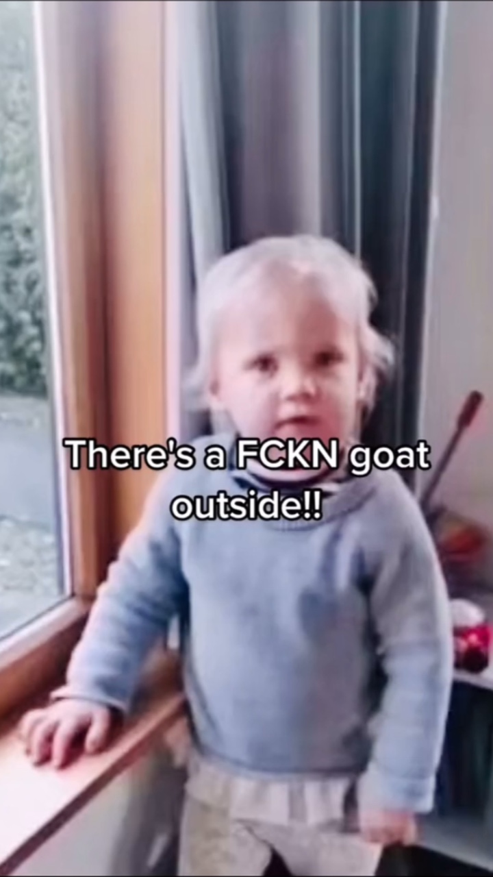 真正的山羊 🐐 