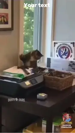 Funny pet videos #1