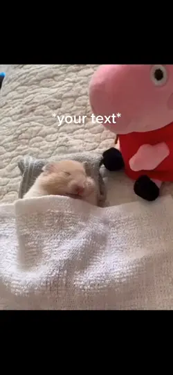 Sleepy
