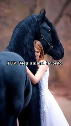 Animal favorito