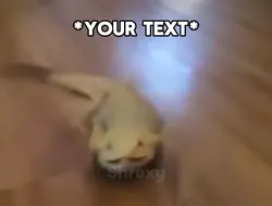 Lizard Meme
