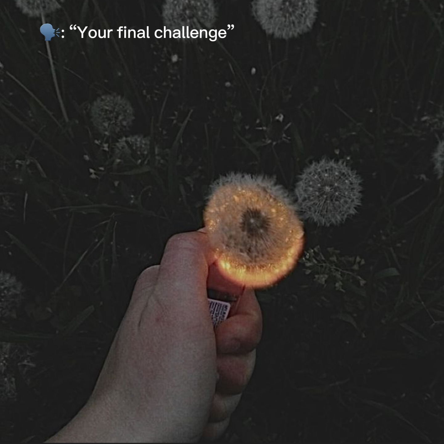 Cover Picture
