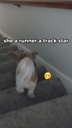 my track star