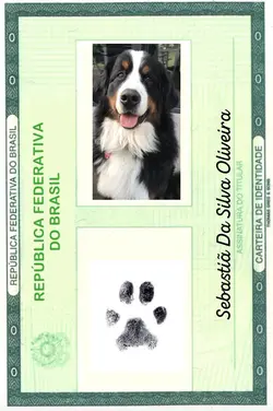 Identidad do seu pet