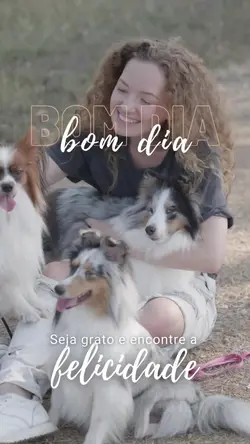 bom dia 