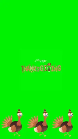 Thanksgiving2024