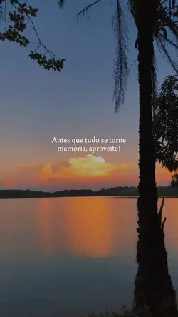 Frases🤍