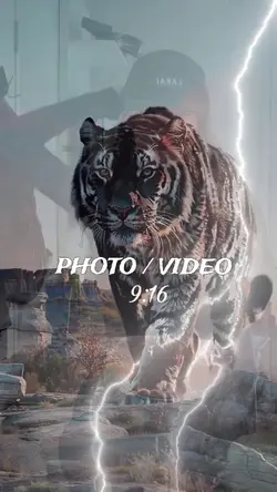 LION TRANSFORMATION 