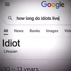 Google: Idiot