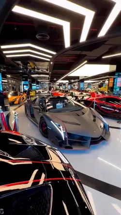 CARROS 