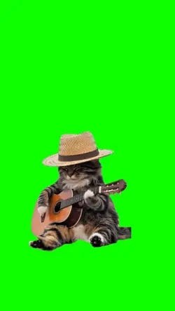 cat playing guitar