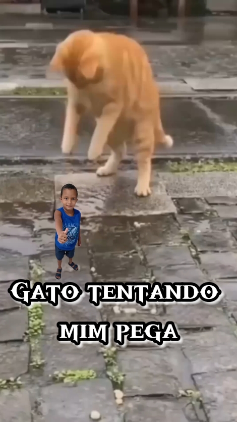 Tentando mim pega