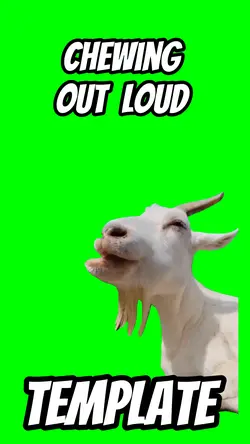 Chewing loud 