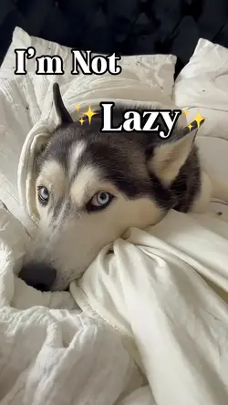 Iβm not lazyπ₯Ή