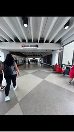 school shootings 🕊️