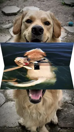 Made a good choice🩵💙