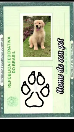 Foto do seu pet