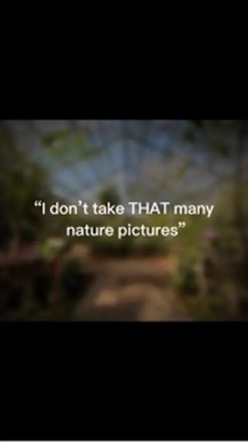 Nature pics template
