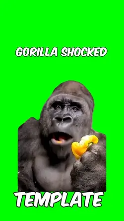 Gorilla Shocked Meme