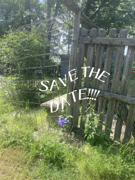 Save the Date v2