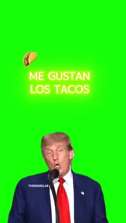 Trum i love mexicans