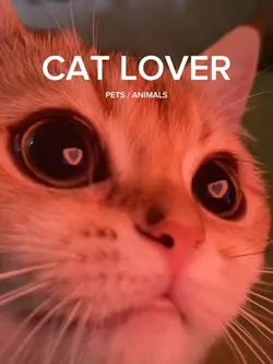 Cat lover