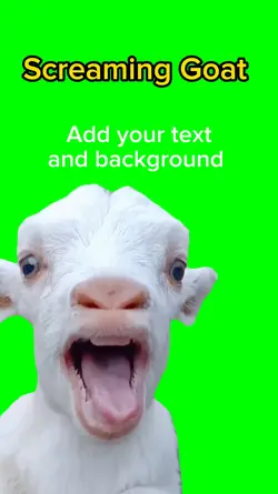 Screaming Goat