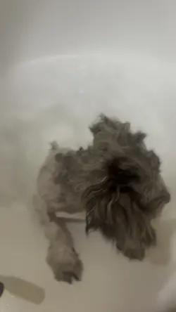 Tubby Time! 🛁🧼🐾