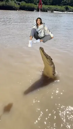 CROCODILO
