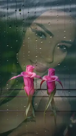 Rosas dançando 
