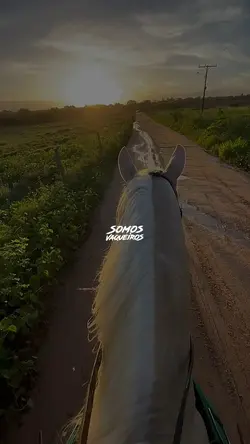 Não há Ferrolhos•AA🎶