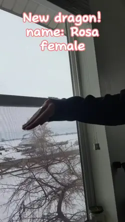 new dragon! :3