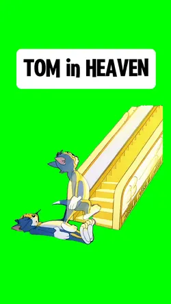 TOM in HEAVEN