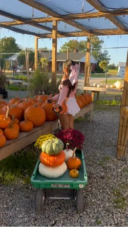 Pumpkin patch inspo