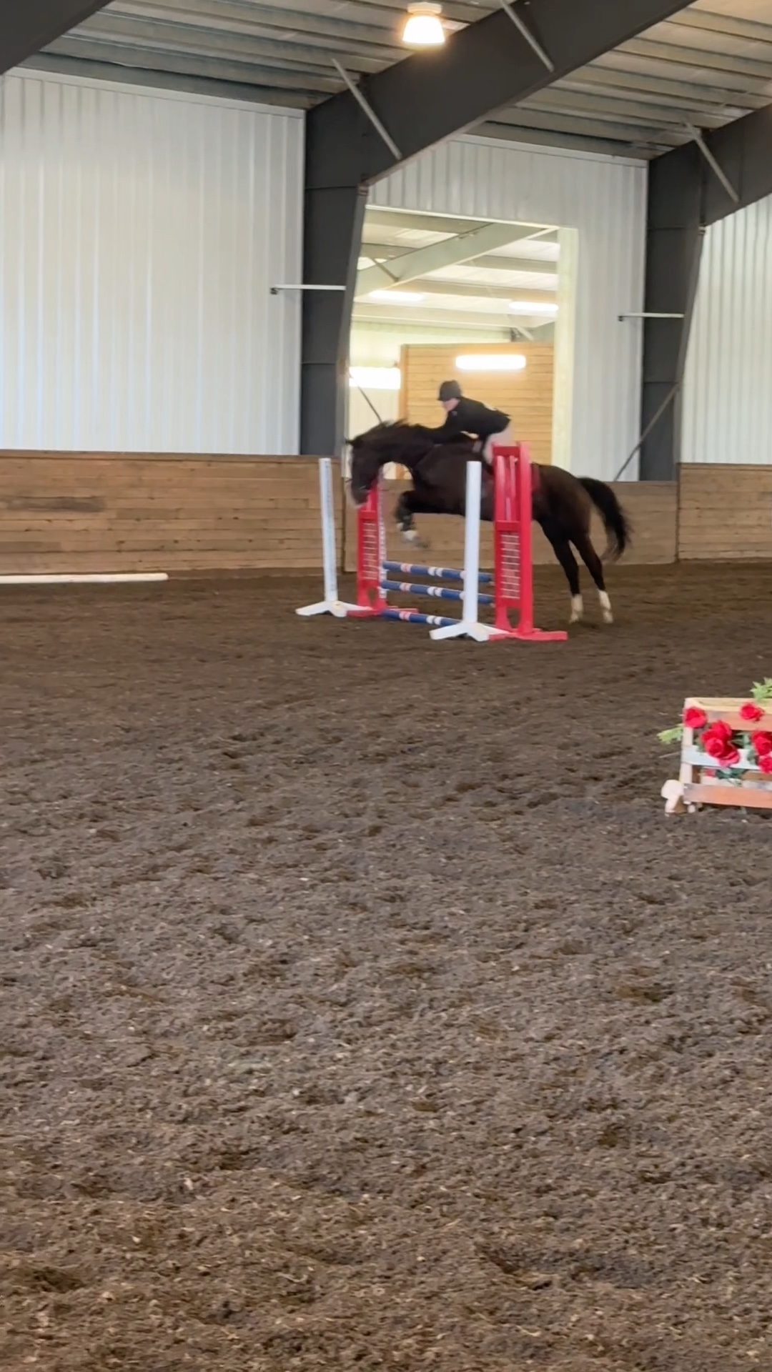 3 di jumper!!