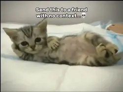 Cat Rizz Meme