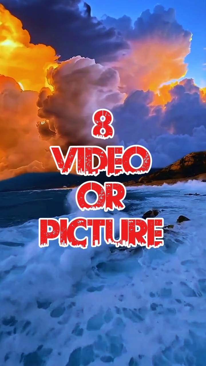8 video o larawan 