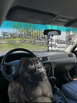 gorilla drummer