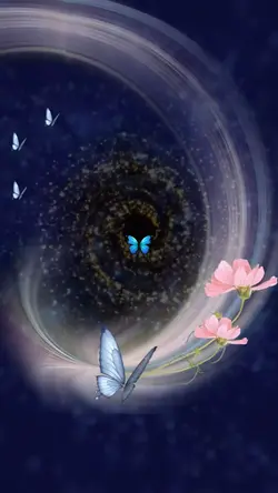 Magic-Butterfly