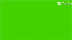 Scan Green Screen