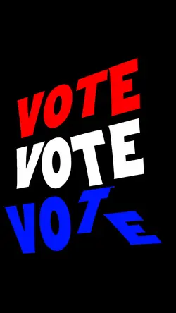Vote 🇺🇸
