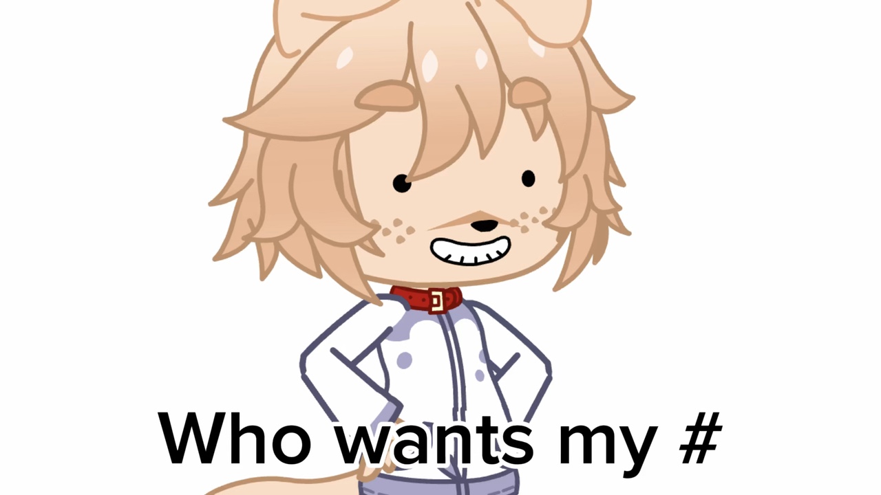 WHO wants it 