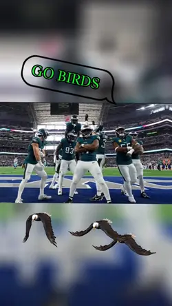 GET IT GO BIRDS 
